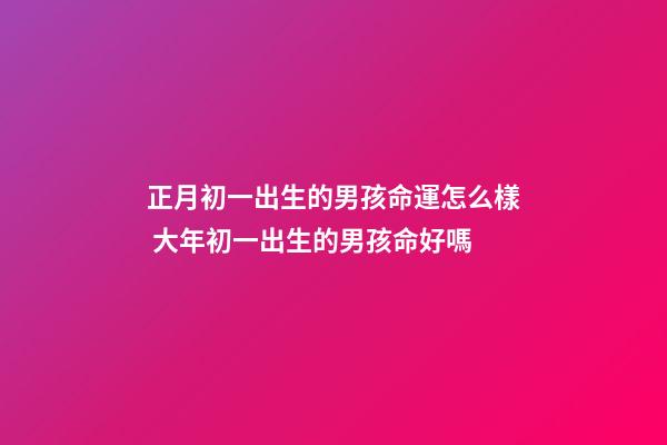 正月初一出生的男孩命運怎么樣 大年初一出生的男孩命好嗎-第1張-觀點-玄機派